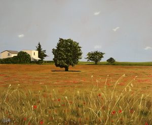 Mauguio south of France